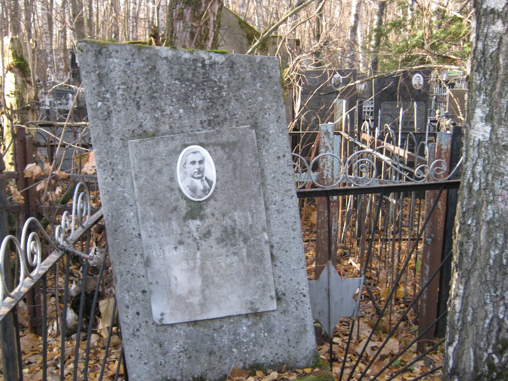 Участок 9420 на Малаховском кладбище — фото захоронения