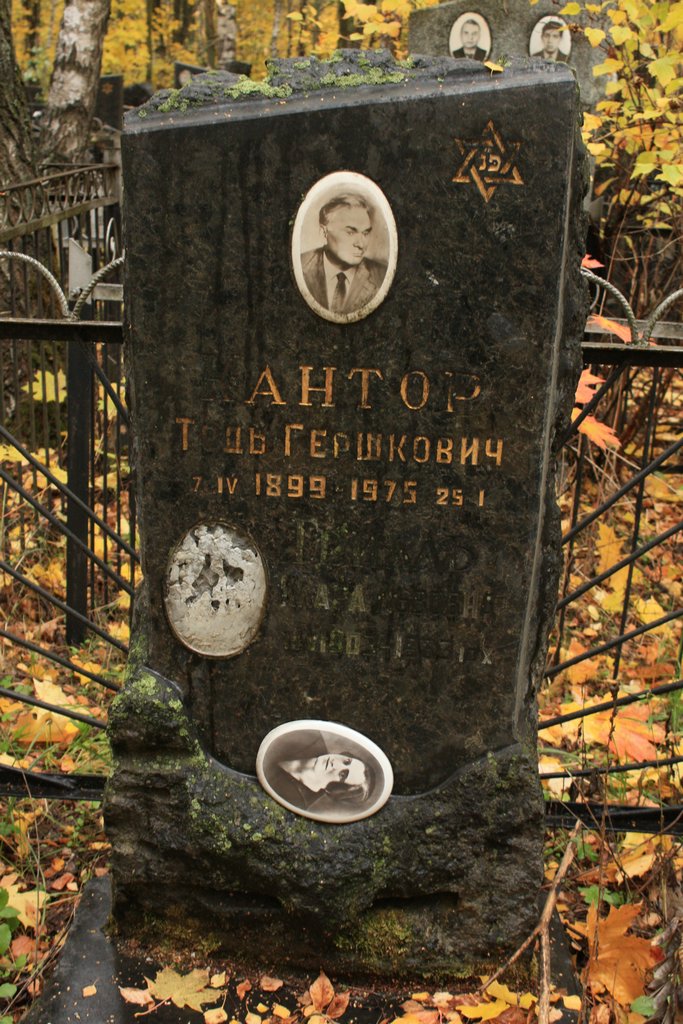 Участок 9473 на Малаховском кладбище — фото захоронения
