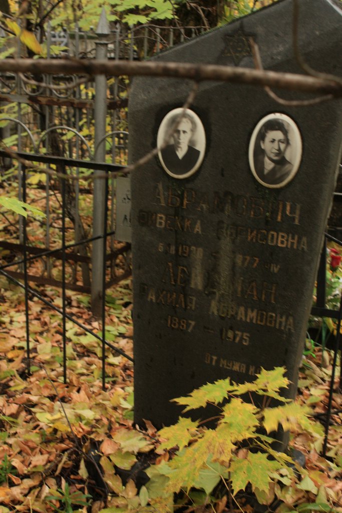 Участок 8815 на Малаховском кладбище — фото захоронения