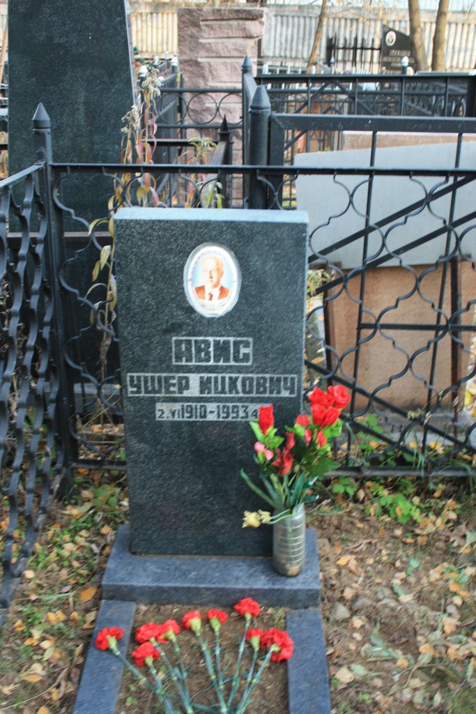 Участок 8804 на Малаховском кладбище — фото захоронения