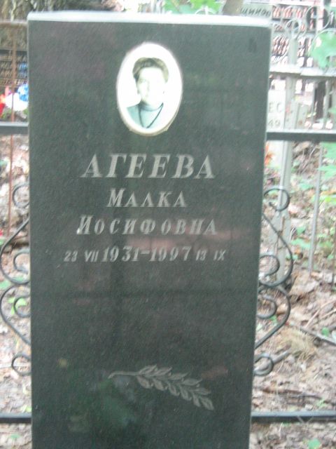 Участок 8796 на Малаховском кладбище — фото захоронения