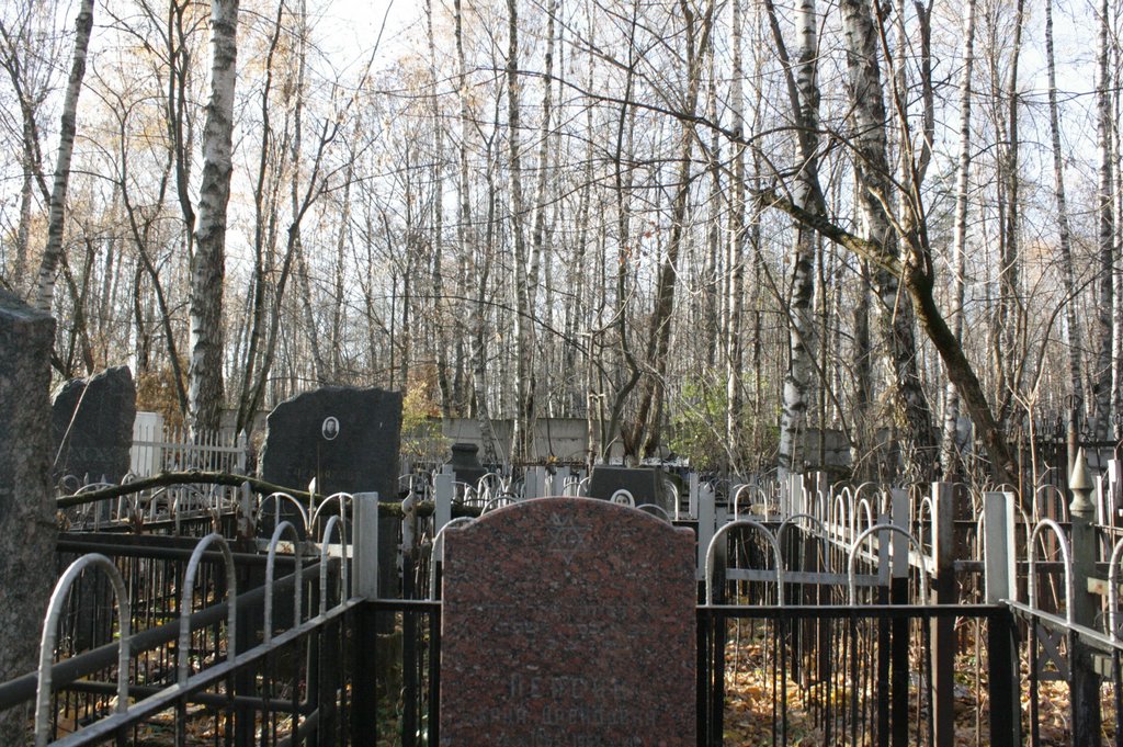 Участок 9343 на Малаховском кладбище — фото захоронения