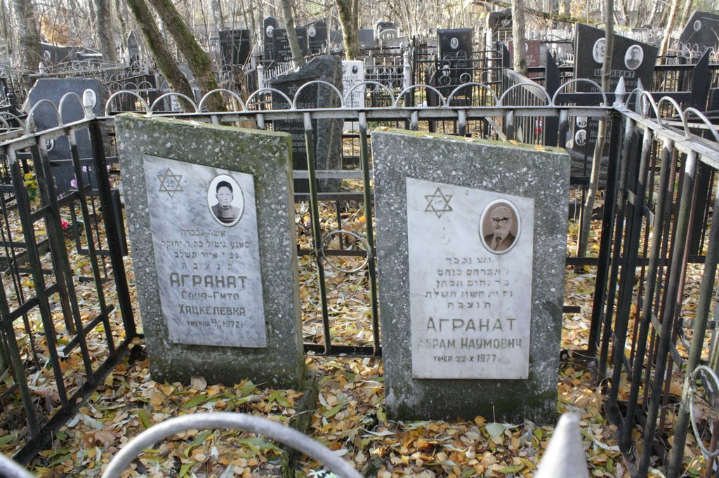 Участок 8793 на Малаховском кладбище — фото захоронения