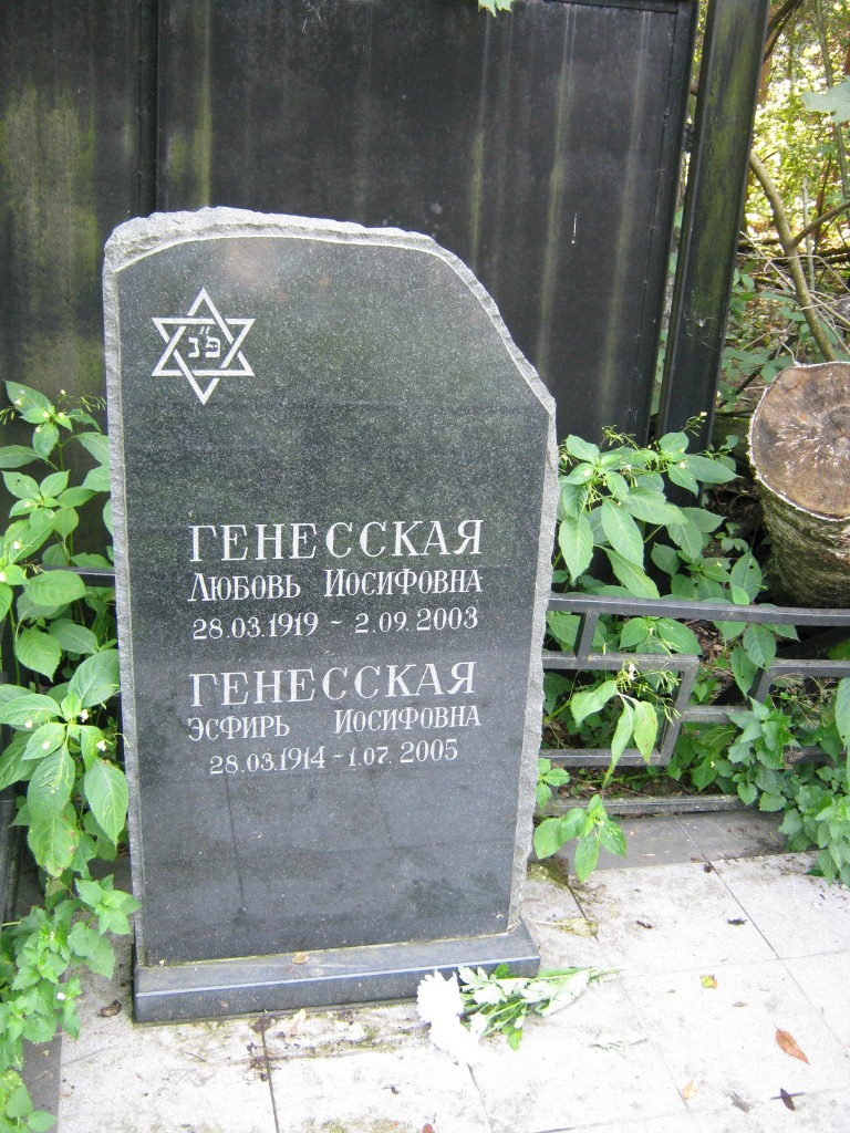 Участок 109 на Салтыковском кладбище — фото захоронения