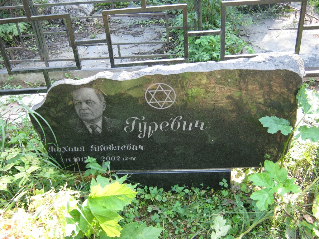 Участок 101 на Салтыковском кладбище — фото захоронения