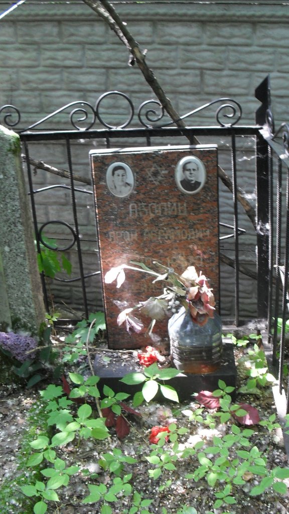 Участок 8827 на Малаховском кладбище — фото захоронения