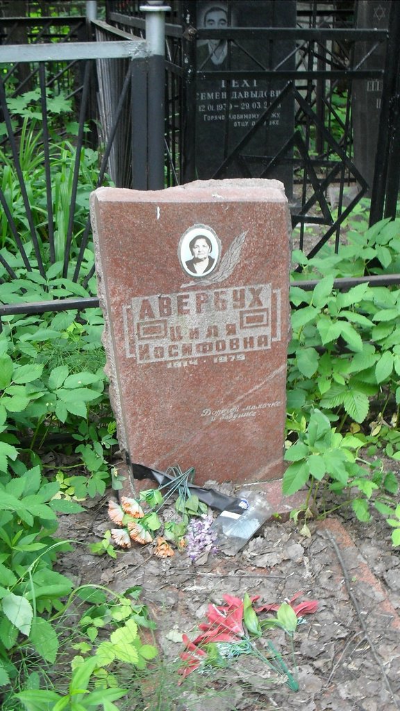 Участок 8807 на Малаховском кладбище — фото захоронения