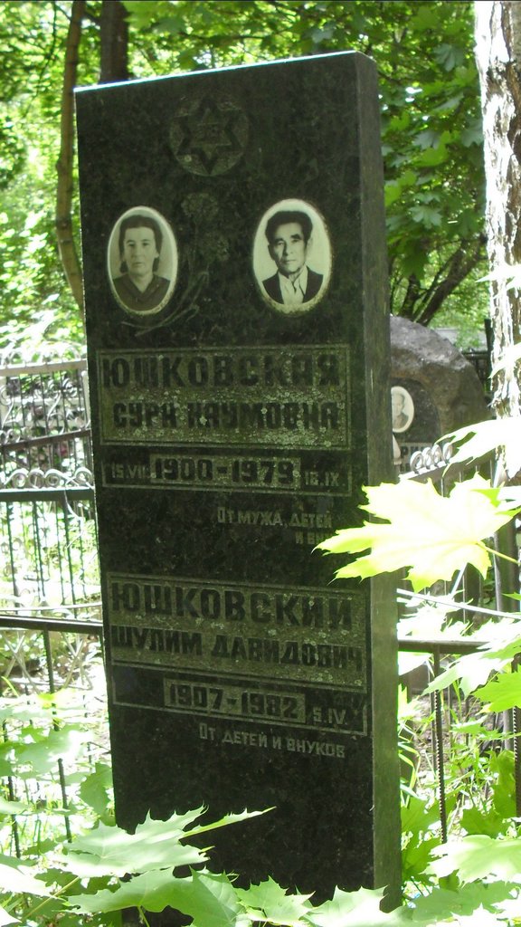 Участок 10151 на Малаховском кладбище — фото захоронения