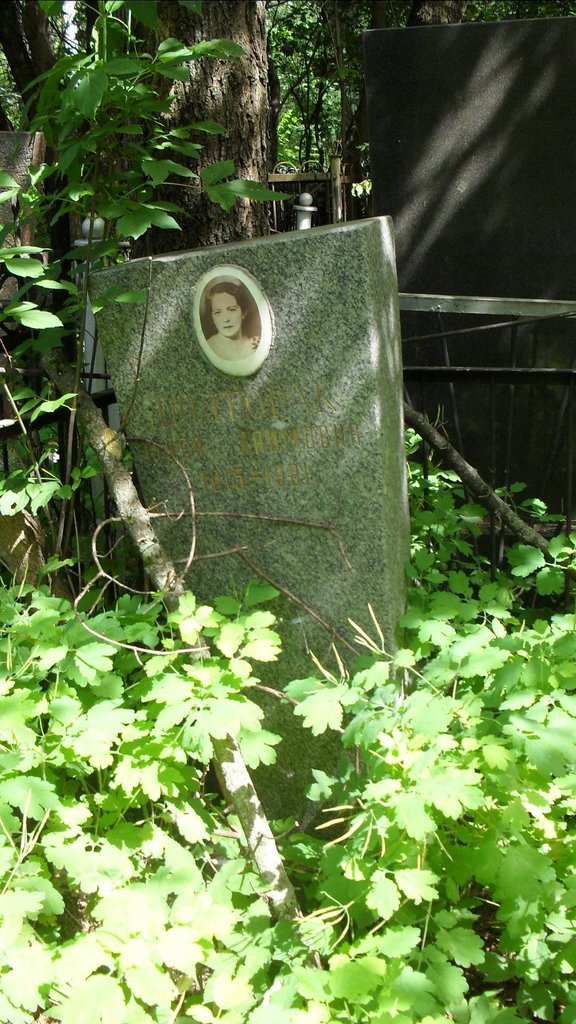 Участок 9851 на Малаховском кладбище — фото захоронения