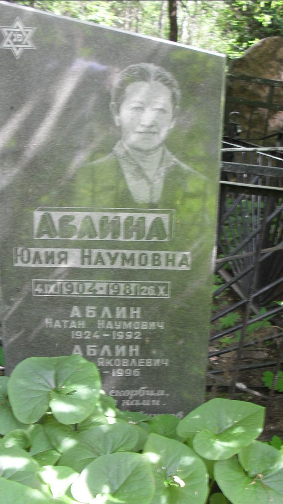 Участок 8831 на Малаховском кладбище — фото захоронения