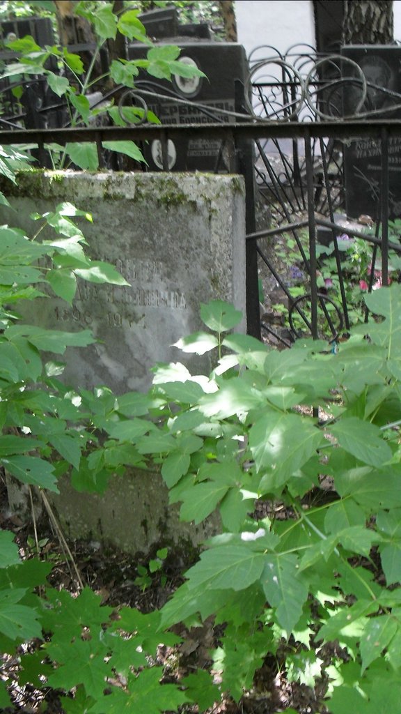 Участок 9881 на Малаховском кладбище — фото захоронения