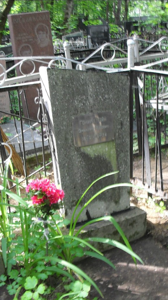 Участок 8854 на Малаховском кладбище — фото захоронения