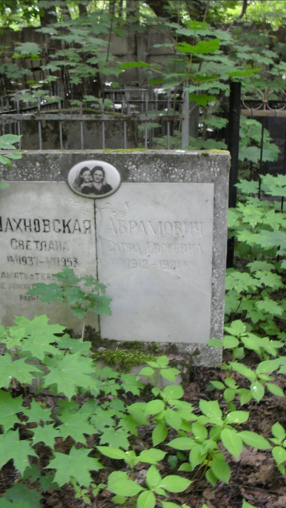 Участок 8820 на Малаховском кладбище — фото захоронения