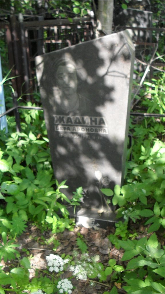 Участок 9812 на Малаховском кладбище — фото захоронения