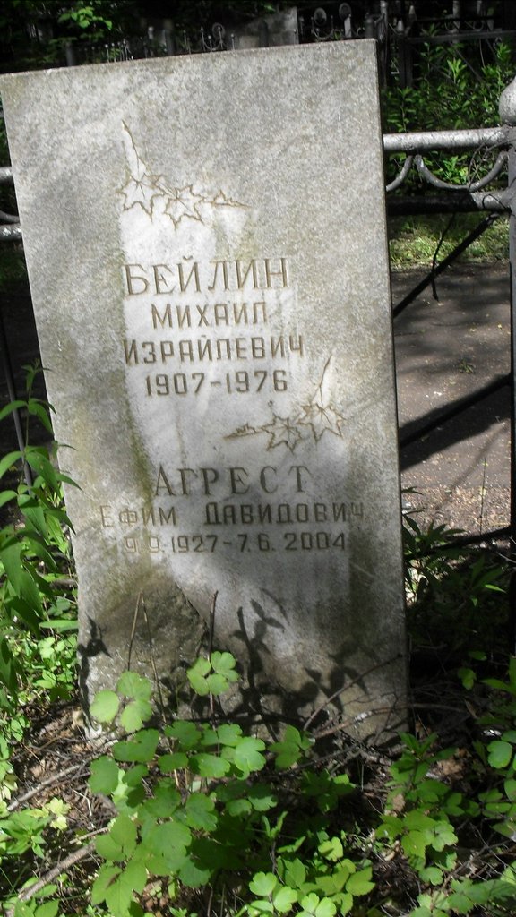 Участок 8788 на Малаховском кладбище — фото захоронения