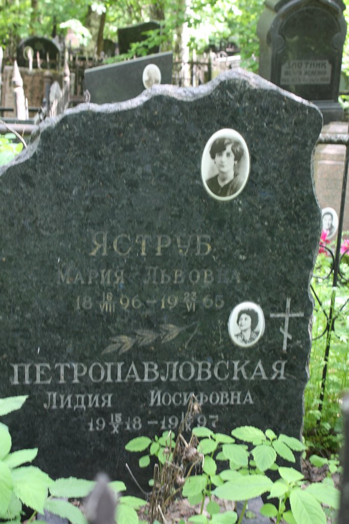 Участок В-64 на Востряковском центральном кладбище — фото захоронения