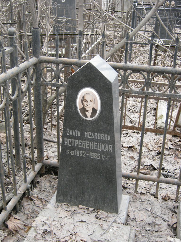 Участок В-72 на Востряковском центральном кладбище — фото захоронения