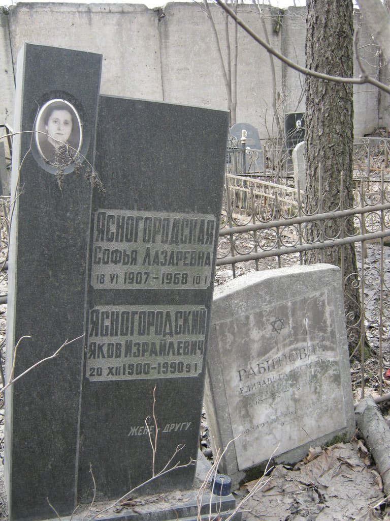 Участок В-78 на Востряковском центральном кладбище — фото захоронения
