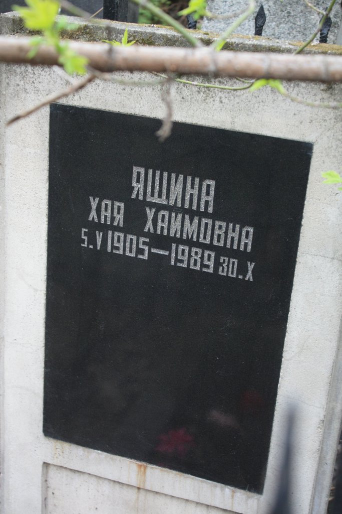 Участок В-6 на Востряковском центральном кладбище — фото захоронения
